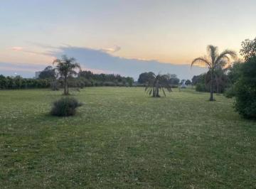 Terreno · 5200m² · Terreno en Venta - 6.901,5 m² - Luján