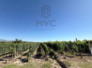 Campo · 35000m² · Finca - Perdriel