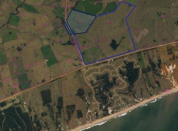 Campo · 2120000ha · 212 Hectáreas en Las Garzas Ideal Desarrollo Inmobiliario