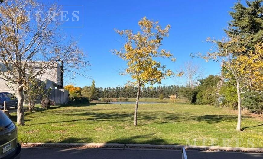 Lote en Venta a La Laguna en San Isidro Labrador - Villanueva.,  Santa Catalina, Villanueva