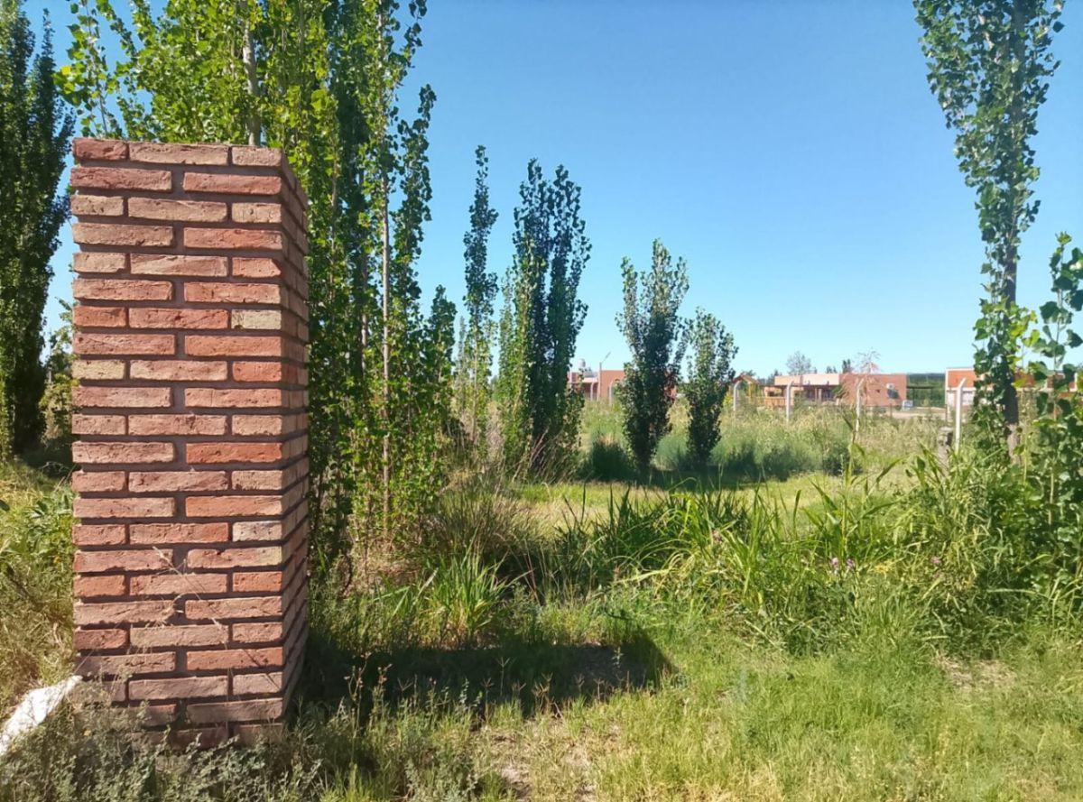 Ruta 143 y Ejercito de los Andes , Rama Caida , Mendoza, Rama Caída, Mendoza