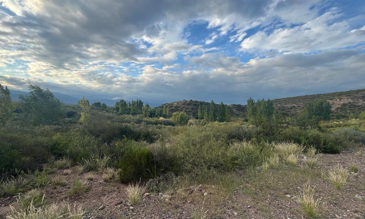 Aguaribay Barrio Privado, Chacras de Coria, Mendoza