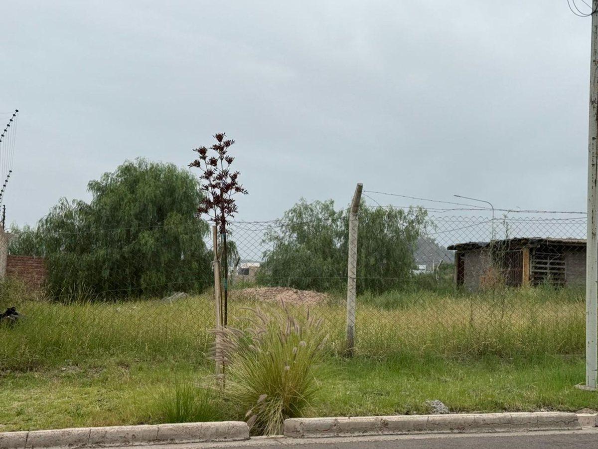 Doctor Alfredo Metraux 3100, Ciudad de Mendoza, Mendoza