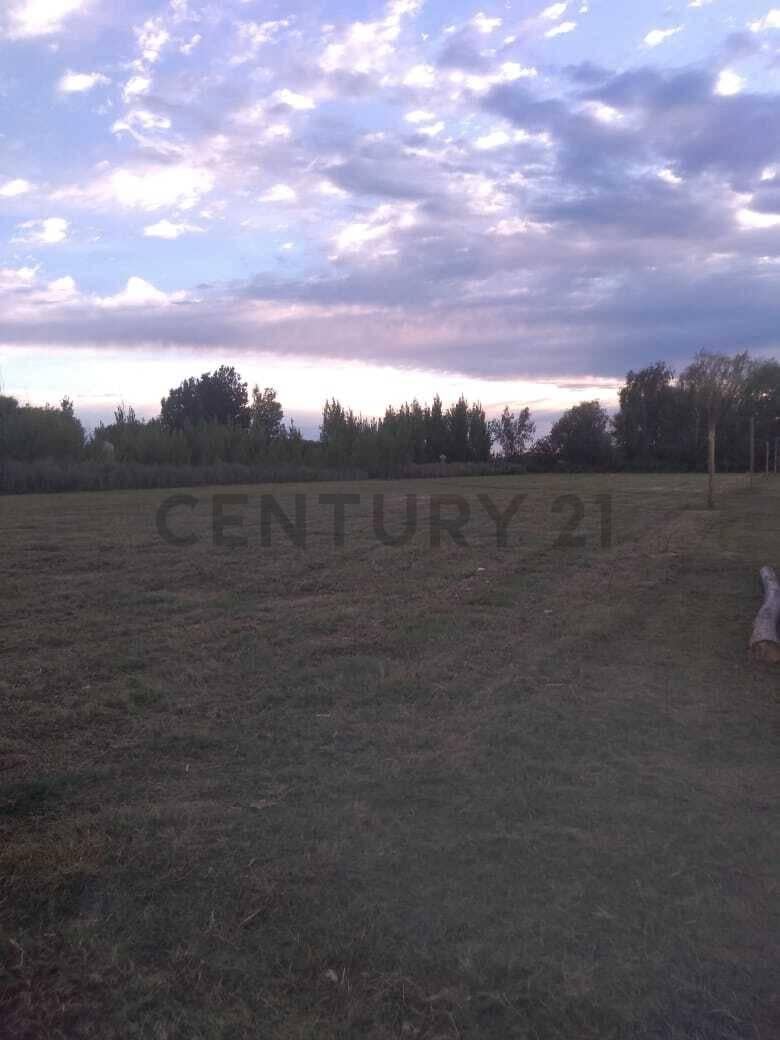 lote eugenio bustos, San Carlos, Mendoza