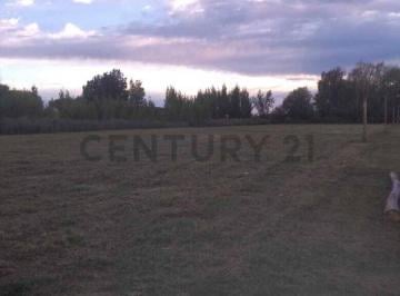 Oficina comercial · 3700m² · Terreno en Venta - Ruta 40, Eugenio Bustos