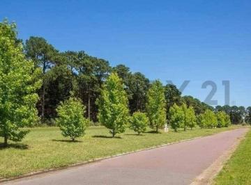 Terreno · 1500m² · Lote Arbolado y Escriturado en Pinares