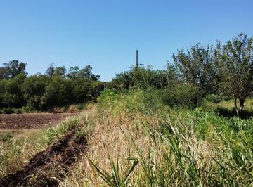 Terreno en Venta · Campo Apto Loteo Industrial