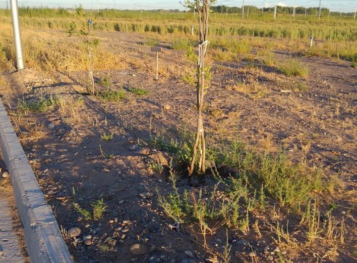 Terreno · 360m²