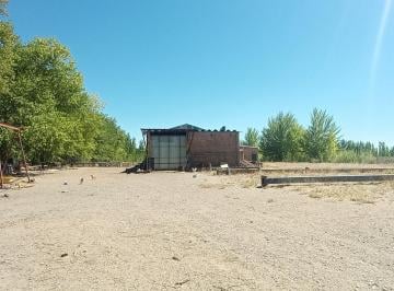 Bodega-Galpón · 300ha · Galpón Ubicado en La Ciudade de Senillosa, Provincia de Neuquén.
