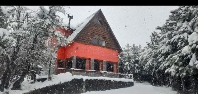 Complejo DE Cabañas EN Venta EN Villa Pehuenia