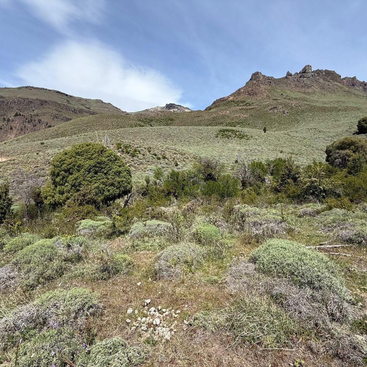 Terreno en Venta en San Martín de los Andes, San Martín de los Andes, Neuquén