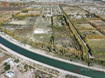Campo · 50000ha · Chacra de 5 Ha en Venta en Fernandez Oro, Rio Negro