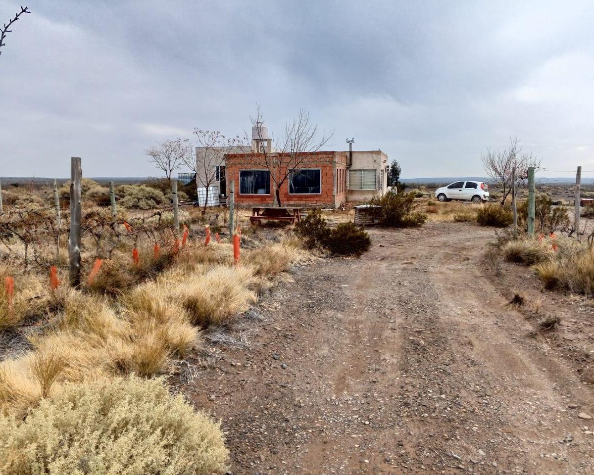 Casa Quinta CON Viñedos EN Venta,  General Roca, Río Negro