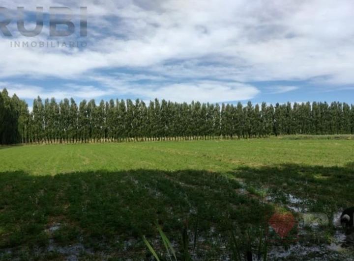 Campo · 100000m²