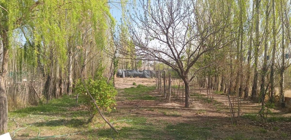 Casa EN Venta Lago Pelegrini