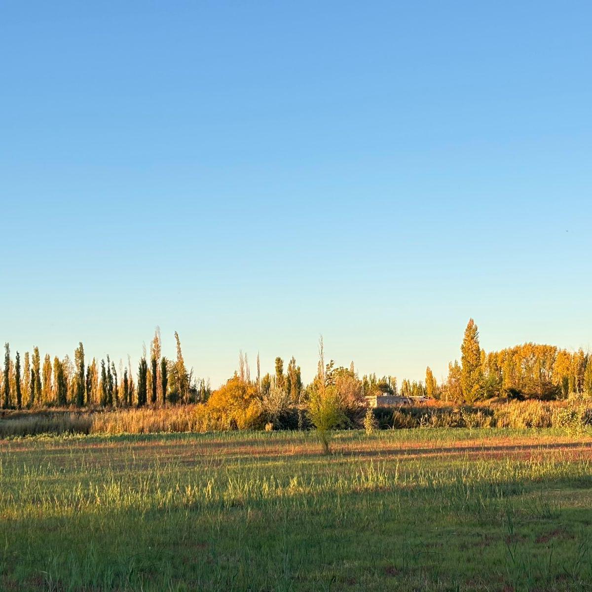 Terreno DE 3000m2 EN Venta EN Cervantes Gral Roca,  General Roca, Río Negro