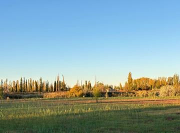 Terreno · 3000m² · Terreno de 3000 m² en Venta en Cervantes Gral Roca