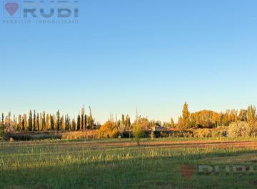 Terreno · 3000m² · Terreno de 3000 m² en Venta en Cervantes Gral Roca