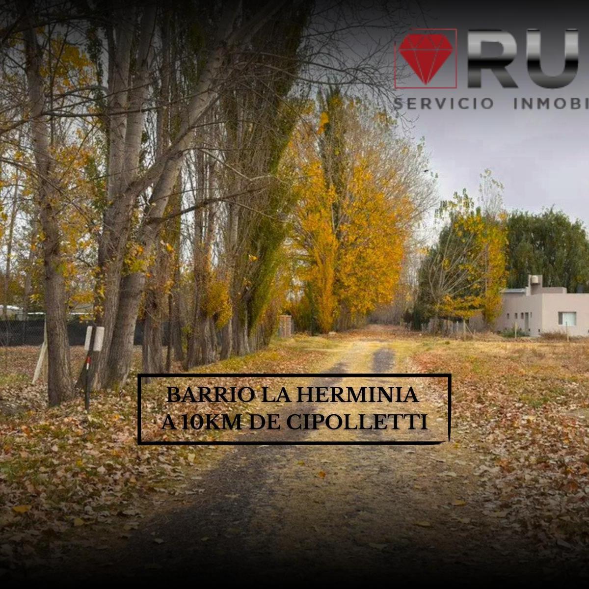 Terreno EN Venta EN Barrio LA Herminia DE Cipolletti,  Cipolletti, Río Negro
