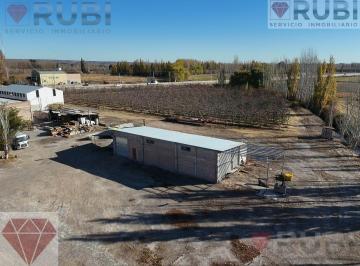 Bodega-Galpón · 168m² · 1 Ambiente · Galpón en Alquiler Sobre Ruta 22, Fernandez Oro