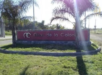 Terreno · 350m² · Terreno en Venta - Colonia Tirolesa