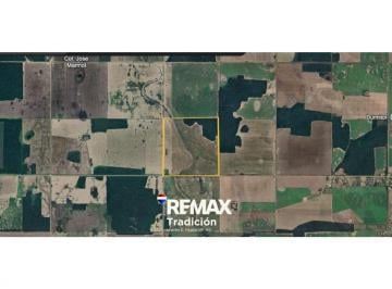 Campo · 100ha · Campo 100 Has en Venta – La Montenegrina – Ruta 20