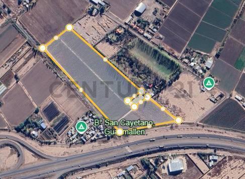 ACCESO ESTE Y CALLEJON PELEGRINA, KM. 8 GUYAMALLÉN , MENDOZA S/N, Kilómetro 8, Mendoza