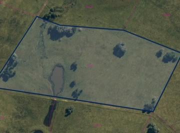 Campo · 50000ha · Chacra de 5 Has en Venta Zona Camino Medellín