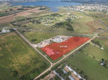 Campo · 55000m² · Terreno Campo en Venta Ubicado en San Miguel del Monte, Resto de La Provincia, Buenos Aires