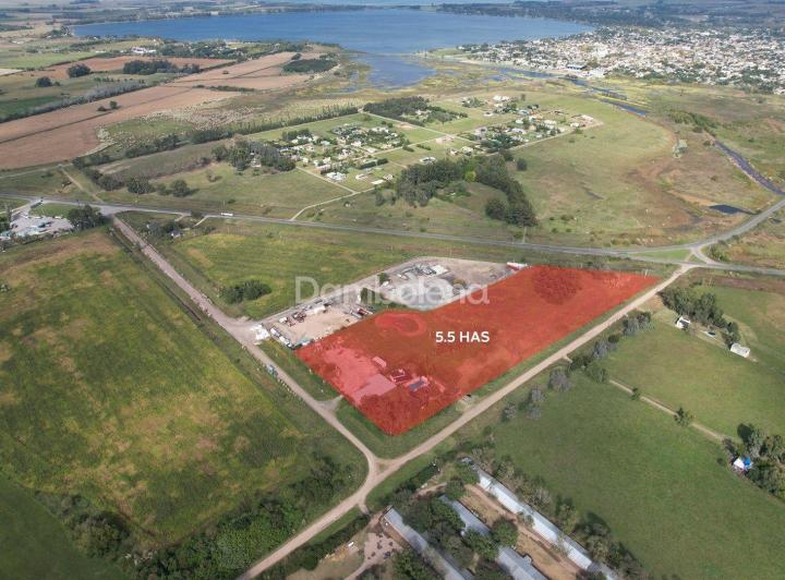Campo · 55000m²