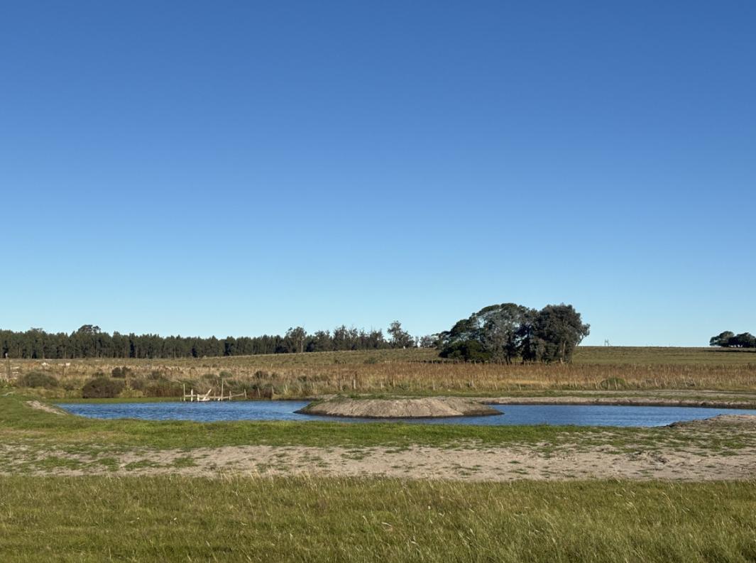 Camino Medellin,  José Ignacio, Maldonado