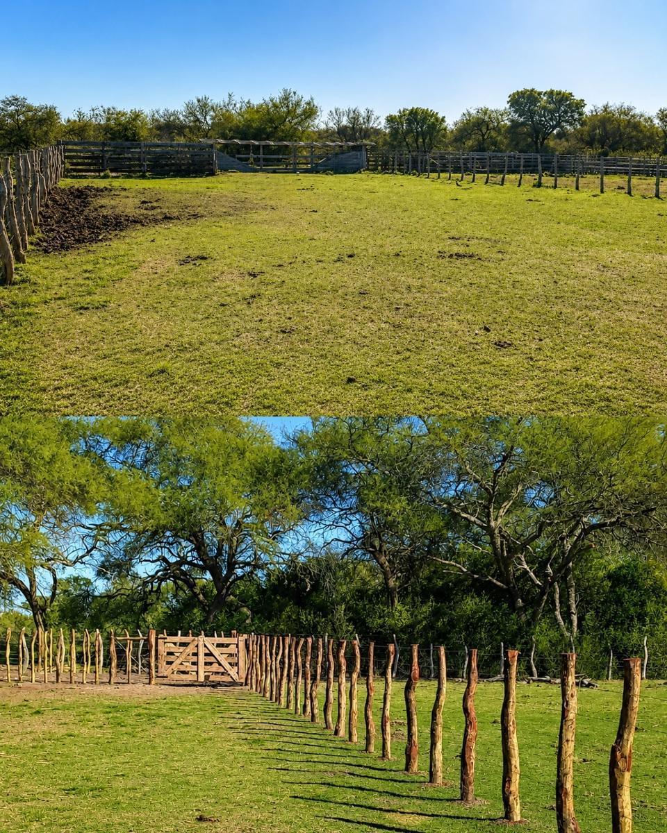 Concripto Bernardi - Entre Rios, Federal, Entre Ríos
