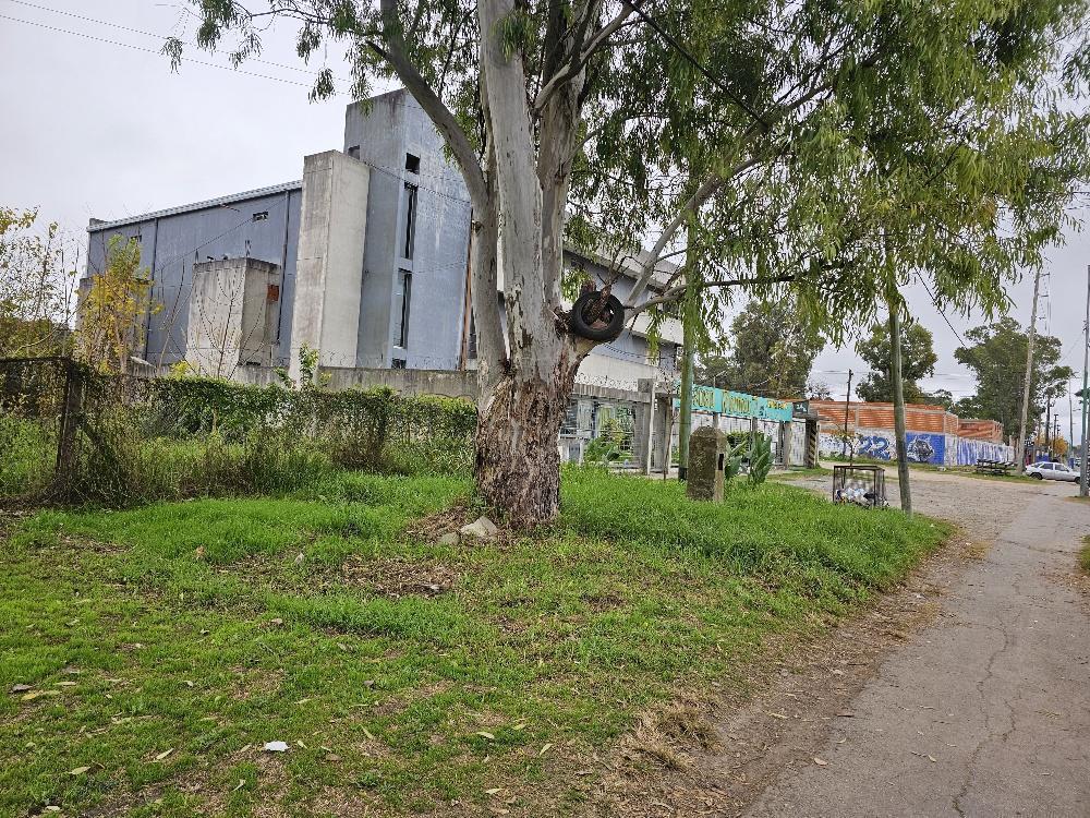 Av 7 Entre 98 y 99, Villa Elvira, La Plata