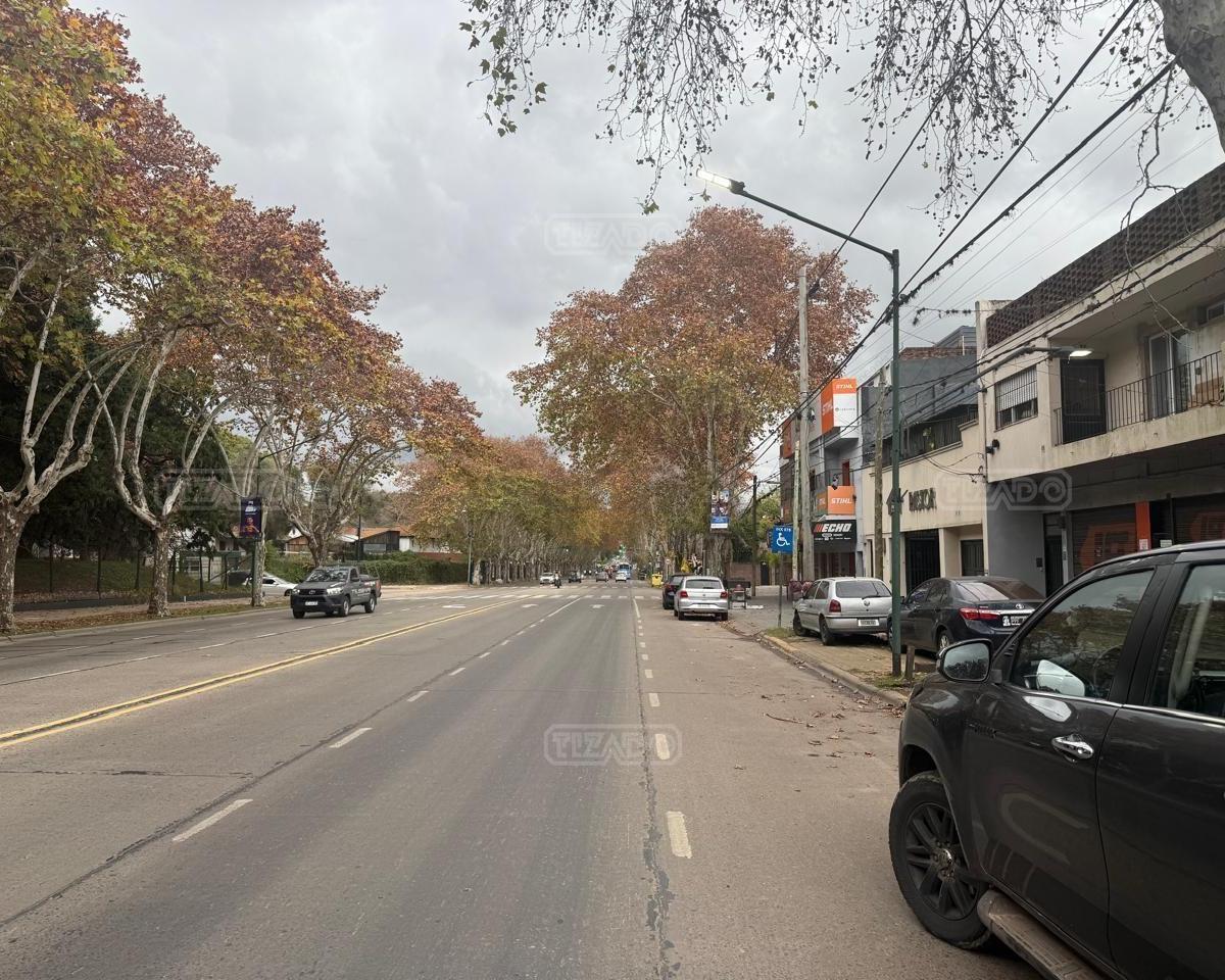 AVENIDA BERNABE MARQUEZ 800, San Isidro, GBA Norte