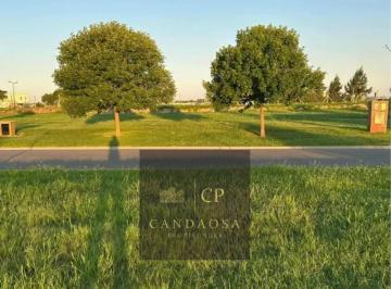 Terreno · 820m² · Rbs. Divino Lote en Area 9, San Sebastian con Escritura!