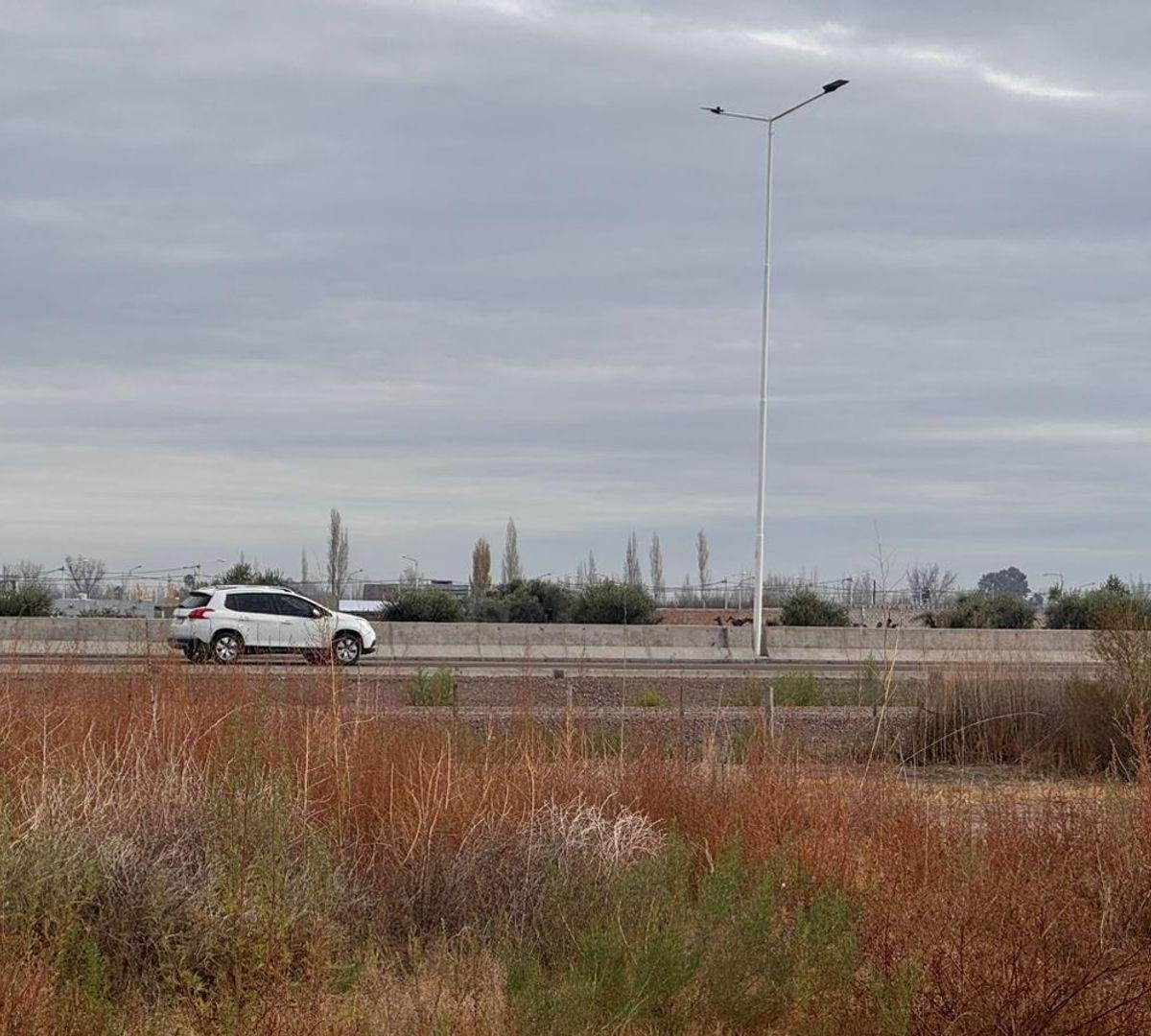 Paso de los Andes 0,  Rivadavia, Mendoza
