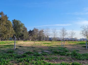 Terreno · 1217m² · Lote Al Arroyo - Azzurra Tortugas