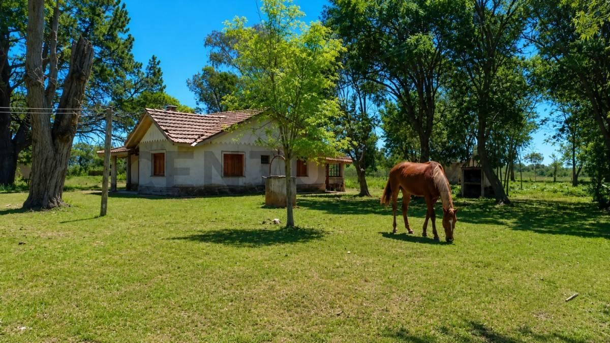 Ruta Provincial 73 KM 5,5,  Dolores, Dolores