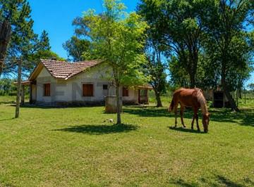 Terreno · 50000m² · Chacra de 5 Hectáreas Sobre Ruta 63 – Dolores, Provincia de Buenos Aires