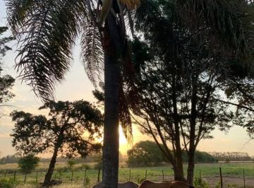 Campo · 380000m² · 1 Dormitorio · Campo - Lima