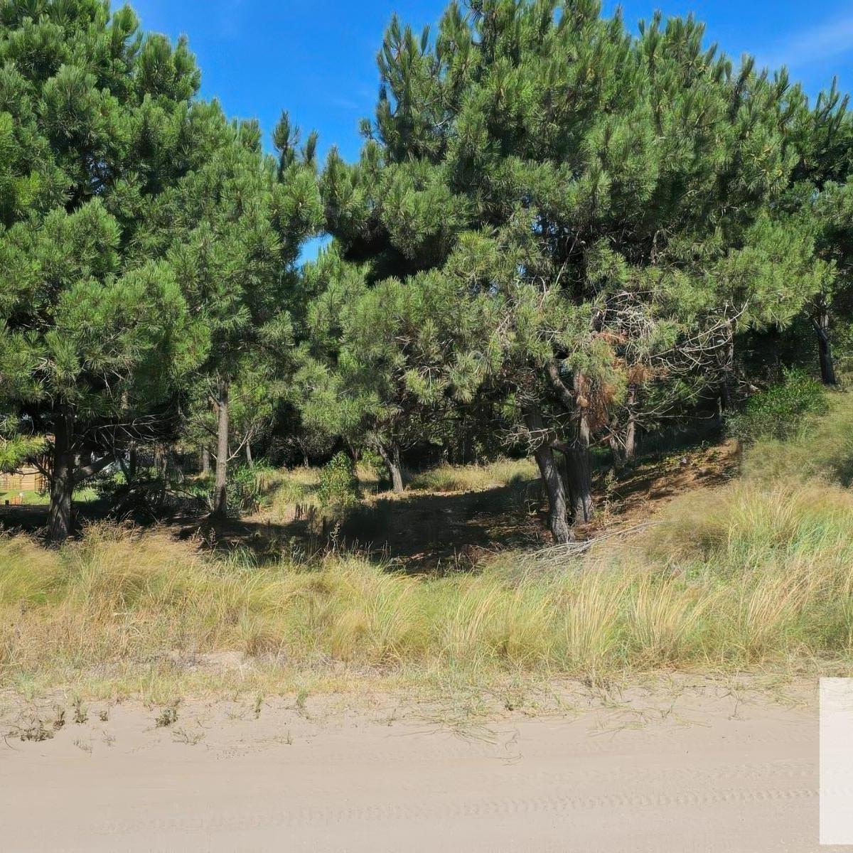 Marítimo - Costa Esmeralda, Pinamar, Buenos Aires Costa Atlántica
