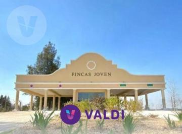 Terreno · 653m² · Terreno - Fincas Joven