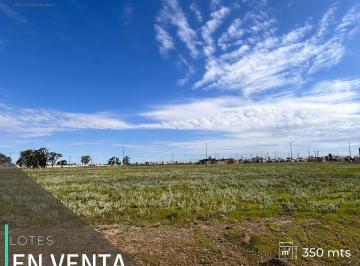 Terreno · 350m² · Lote Residencial - Pampas de Manantiales