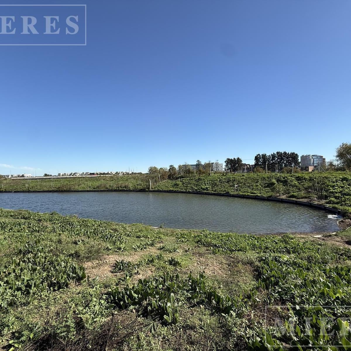Lote en Venta a la Laguna en el Barrio Silvestre, Nordelta, Silvestre, Nordelta