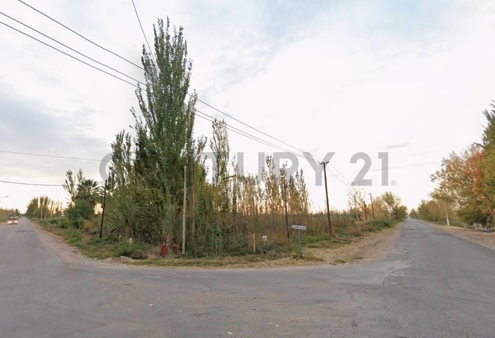 Calle Santa Clara y Carril Viejo, Maipú, Mendoza