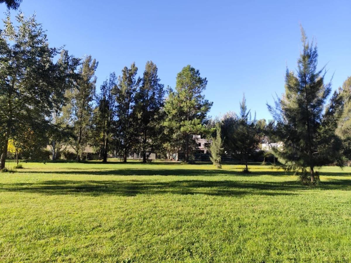 Ruta 2 Km 65,  Miralagos, Etcheverry