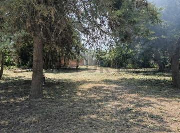 Terreno · 800m² · Calle 13 Entre 24 y Calle a Ceder. Venta Terreno en Coronel Brandsen.