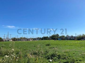 Terreno · 529bis Entre 144 y 145 Lote en PH.