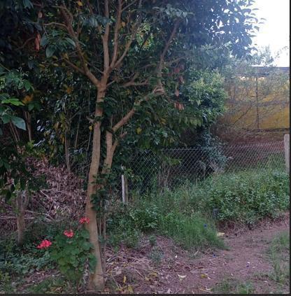 Terreno · 412m²
