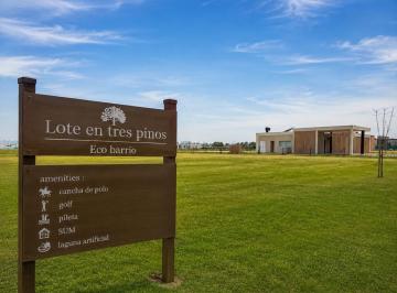 Terreno · 2000m² · Terreno en Los Tres Pinos